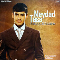 בסיעתא דשמיא - Meydad Tasa