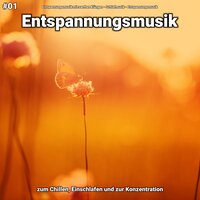 Entspannungsmusik pt. 48 - Entspannungsmusik mit sanften Klängen & Schlafmusik & Entspannungsmusik