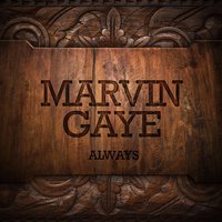 Twelve Months of the Year - Marvin Gaye & Harvey