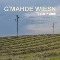 Freier Mann - Wurzelwasser