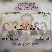 Đường Tình Ta Đi - Tuấn Sông Thu & Quang Le & Thúy Huyền