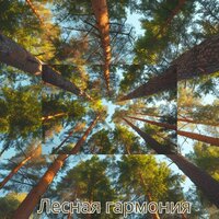 Звуки теплого камина - Музыка которая поможет вам расслабиться & Музыка для расслабления Love Music & Музыка для снежного дня