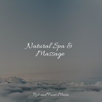 Soothing Night Sounds - Yoga Music & Study Concentration & Classical Lullabies