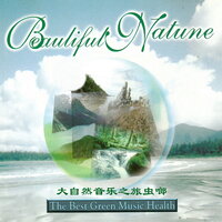 我想知道爱是什么 - 新时代乐团