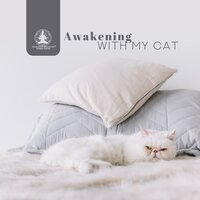 Time to Mantra - Relaxation Meditation Songs Divine