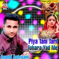 Dilwa Ke Kayi Dihalu Khokha - Anand Ashwani