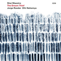 My Second Childhood - Shai Maestro