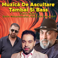COLAJ Melodii de ascultare CELE MAI ASCULTATE DOINE - Florin Salam & Sorin Necunoscutul & Gioni Din Ferentari