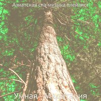 Музыка (Массаж) - Азиатская спа-музыка плейлист