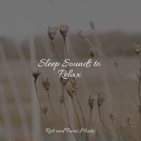 Amongst the Stars - Baby Sleep Music & Musique Zen Garden & Spa