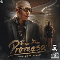 Promesa - Nengo Flow