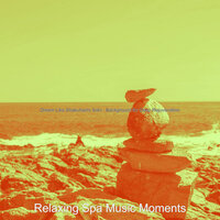 Modern Serenity - Relaxing Spa Music Moments