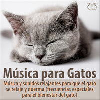 Música para dormir para gatos, parte 12: Quinto Down D-G, gato dormido - con ruido blanco y ronroneo ligero - Música para gatos TA & Torsten Abrolat