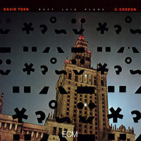 Best Laid Plans - David Torn & Geoffrey Gordon