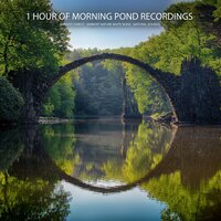 Spiritual Tributary - Ambient Forest & Ambient Nature White Noise & Natural Sounds