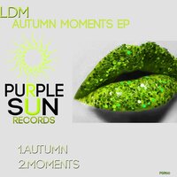 Moments - LDM