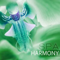 Velvet Music (Healing Touch) - Home SPA Collection