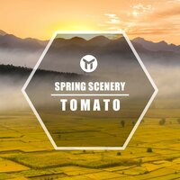 Spring Scenery - Tomato