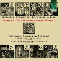 Rosamunde, D. 797: 2. Ballett - Federica Napoletani & Ensemble Progetto Pierrot & Alessandro Maria Carnelli & Франц Шуберт