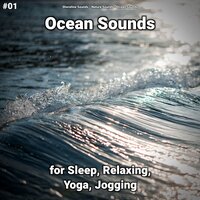 Ocean Sounds Part 59 - shoreline sounds & Nature Sounds & Ocean Sounds