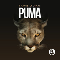 Puma - TKO & Travis Lydian