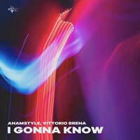 I Gonna Know - AnAmStyle & Vittorio Brena