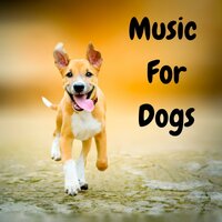 Relieving Anxiety - Relaxing Puppy Music & Calm Pets Music Academy & Music for Dogs Peace & Music for Dogs