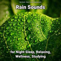 Rain Sounds for Night Sleep and Relaxing Pt. 97 - Nature Sounds & Rain Sounds & Regengeräusche