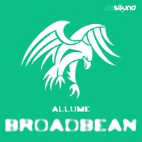 Joel An - Allume
