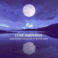 Time for Sleep - Deep Sleep Sanctuary