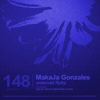 Asteroid Flyby - Makaja Gonzales