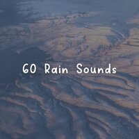 Let - Rainforest Sounds