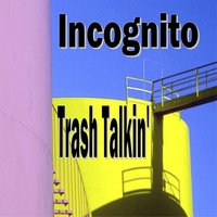 Agent Aardvark - Incognito