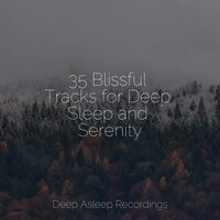 Silent Dunes - Música para Massagem Especialistas & Ambientalism & Relaxing Sleep Music