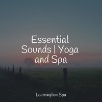 Detox the Mind - Unforgettable Paradise SPA Music Academy & Relaxation Sleep Meditation & Sleep Waves
