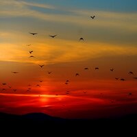 Calm Sea Breeze - Wave Sound Group & Baby Sleep & Nature Sound Series