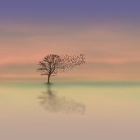White Noise for Relax and Relief - Looped Baby Shushing