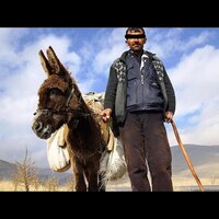 Hayvan Oglu - The S & MP33