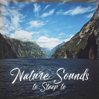 Peaceful Music Before Sleep - Sleepy Head Music