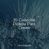 Conectando Con La Naturaleza - Sonidos de la Naturaleza Relax & Relajante Academia de Música Zen & Academia de Música para Massagem Relaxamento
