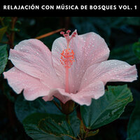 Pacíficos Sonidos De La Naturaleza - Musica relajante con sonidos de la naturaleza & Música para Dormir Con Relajantes Sonidos de la Naturaleza & Sonidos de Aves