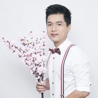 Hoa Cài Mái Tóc - Đào Phi Dương