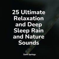 Flowing Water - Alpha Waves & Música de la Naturaleza & Soothing White Noise For Infant Sleeping And Massage