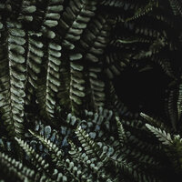 Cuidado y Ternura - Musica Para Dormir y Sonidos de la Naturaleza & Relajante Academia de Música Zen & Música para Relaxar Maestro