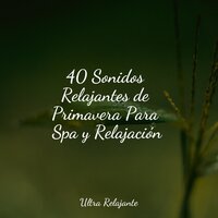 Paisajes De Ensueño De Horizontes - Meditacao Clube & Massagem Guru & Musica Relaxante