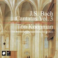 "O heiiges Geist- und Wasserbad" BWV 165: Aria (Alto): "Jesu, der aus großer Liebe" - Ton Koopman