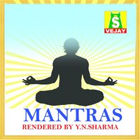 Miruthyanja - Y. N. Sharma