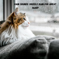 Rain Winter Paradise - Rain Sounds For Sleep & Weather and Nature Recordings & Spa Music Relaxation