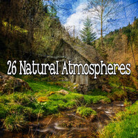 Окружающая среда дикой природы - Hipnose Natureza Sons Coleção