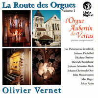 Toccata, Adagio and Fugue in C Major, BWV 564: I. Toccata - Olivier Vernet & Johann Sebastian Bach